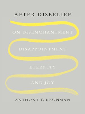 cover image of After Disbelief